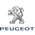 Entreprise Peugeot Garage Du Lac Agent